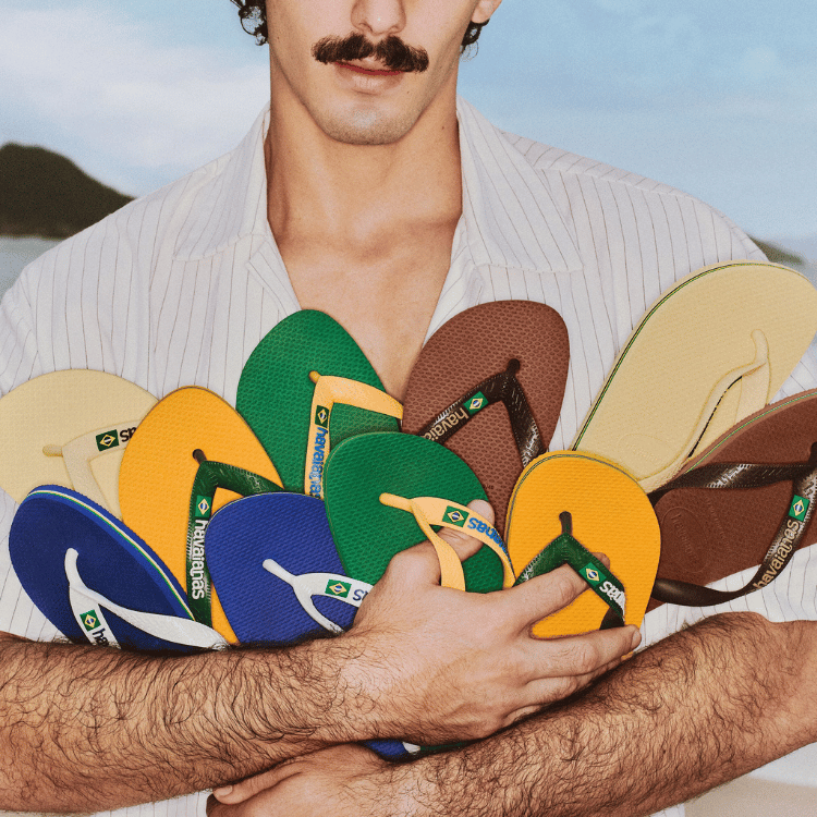 Havaianas Erkek Modelleri